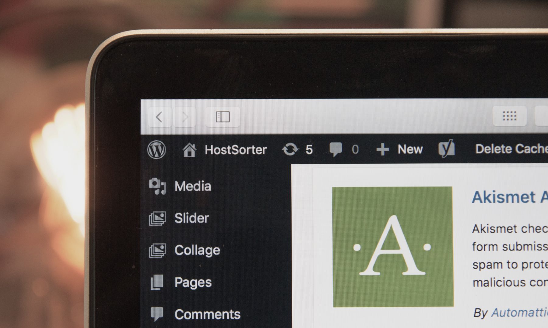 WordPress Development
